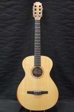 Taylor Academy 12e/Nylon_3