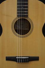 Taylor Academy 12e/Nylon_4