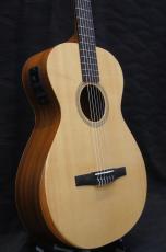 Taylor Academy 12e/Nylon_6