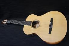Taylor Academy 12e/Nylon_8