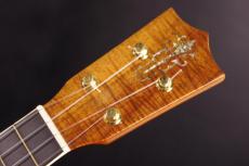 Martin Style-5K_4