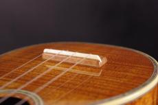 Martin Style-5K_6