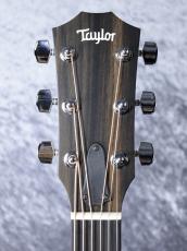 Taylor 【入荷待ち商品!】114ce-S_11