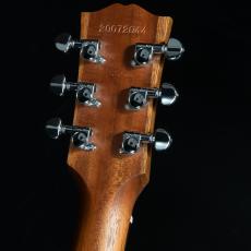 Gibson G-200 EC_5