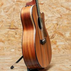 Taylor 724ce J-Spec_4