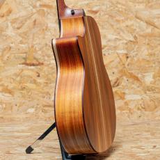 Taylor 724ce J-Spec_5