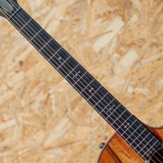 Taylor 724ce J-Spec_6