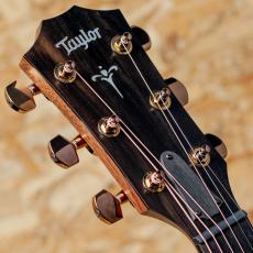 Taylor 724ce J-Spec_8