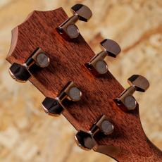 Taylor 724ce J-Spec_9