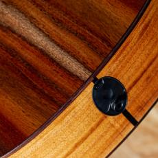 Taylor 724ce J-Spec_10