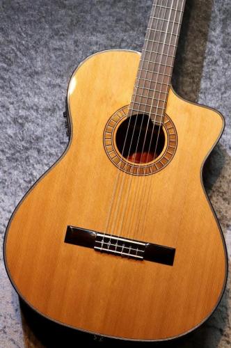 Martinez MP-12 MH 【サンプル写真】【杉・マホガニー】【エレガット】【池袋店在庫品】