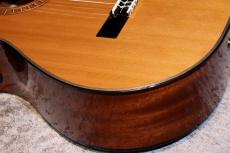 Martinez MP-12 MH 【サンプル写真】【杉・マホガニー】【エレガット】【池袋店在庫品】_5