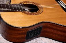 Martinez MP-12 MH 【サンプル写真】【杉・マホガニー】【エレガット】【池袋店在庫品】_6