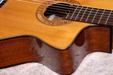 Martinez MP-12 MH 【サンプル写真】【杉・マホガニー】【エレガット】【池袋店在庫品】_7