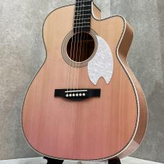 Headway(ヘッドウェイ)、アコースティックギター/エレアコの検索結果1