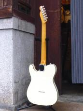 Fender '16 Japan Exclusive Classic 60s Tele Custom_2