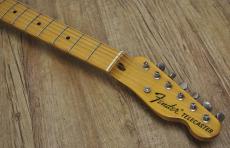 Fender Japan Pink Paisley TL69-75 Aシリアル_6