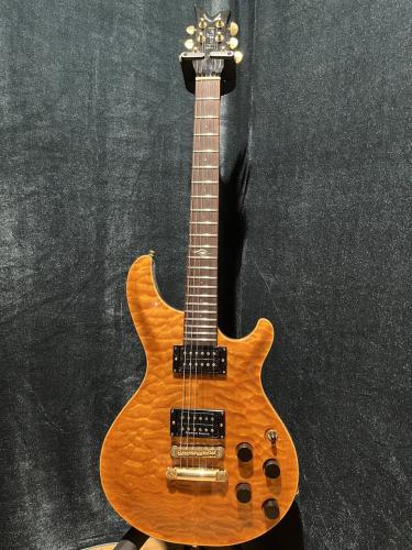 DEAN Hardtail Mod