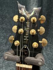DEAN Hardtail Mod_2