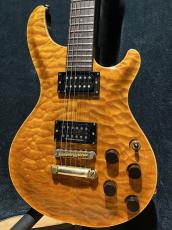 DEAN Hardtail Mod_3