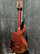 DEAN Hardtail Mod_4