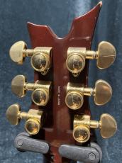 DEAN Hardtail Mod_5
