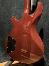 DEAN Hardtail Mod_6
