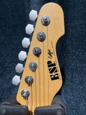 ESP SNAPPER-AS Burner Mod_2