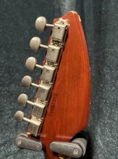 ESP Funichar D-616_5