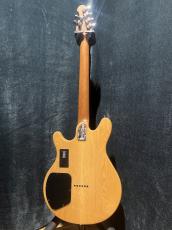 Sterling by MUSIC MAN JV60C-M2_4
