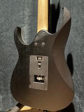 Ibanez RG350ZB_6