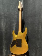 FUTRA MS Proto HSH_4
