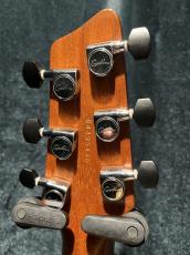 Godin XTSA_5