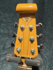 Burns Custom Elite Series Sonic Reissue_2