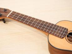 Soa Guitars US-1 OV_6