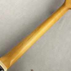 Vanzandt STV-R2 / Vintage White #10363 ≒3.51kg【定番カラー】_8