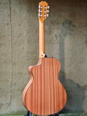 Taylor 112ce-N(Nylon) #2211014132【全国送料負担】【金利0%対象】_5