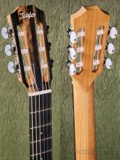 Taylor 112ce-N(Nylon) #2211014132【全国送料負担】【金利0%対象】_7