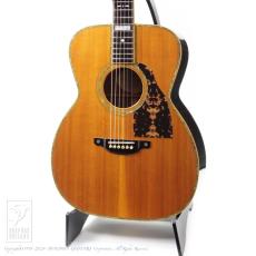 Shelly SS-MI【デモ動画掲載】