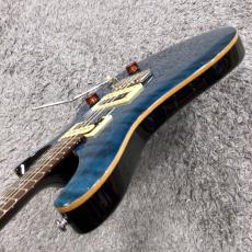 Paul Reed Smith [PRS] SE Custom 24 Blue 【中古品】_6
