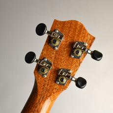 COTONE CS5SL 【送料無料】_6