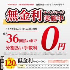 COTONE CS5C 【送料無料】_8