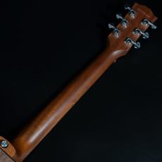 Gibson G-200 EC_9