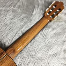 茶位幸弘 No.30 松 / ローズウッド【640mm】【茶位幸弘】【クリアランスセール対象商品】_7