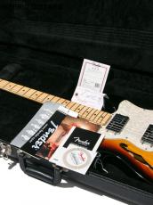 Fender Classic Series 1972 Telecaster Thinline 3CS 2012_5