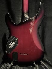SCHECTER AD-C-1-HR_4