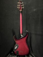SCHECTER AD-C-1-HR_5