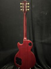 Burny RLG-70_5