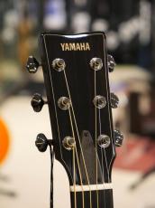 YAMAHA FG9 60th_10