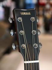 YAMAHA FG9M_9